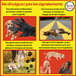 ne divulguez pas les signalements