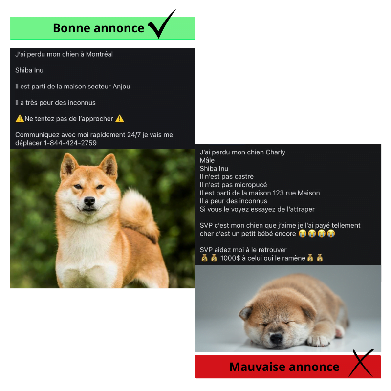 Comparatif entre une bonne annonce et une mauvaise