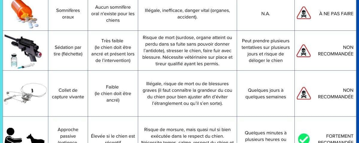 Techniques de capture