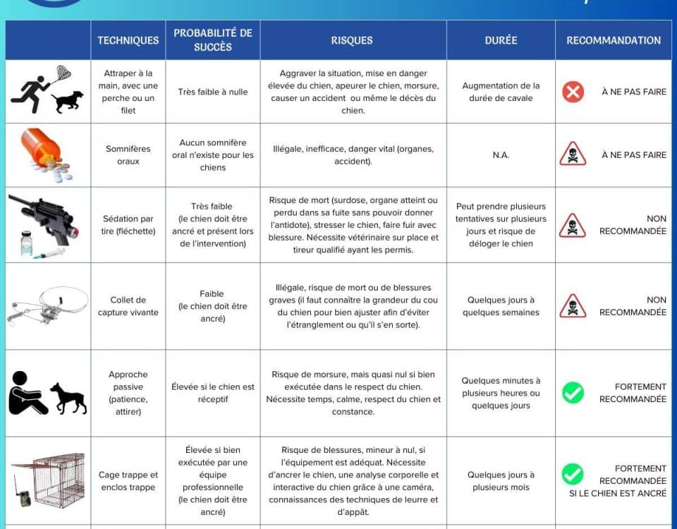Techniques de capture
