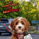 Watson à la halte routière