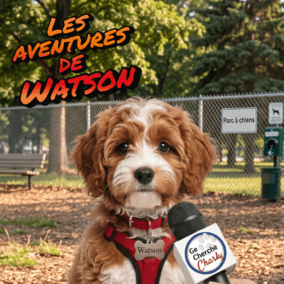 parc-chien